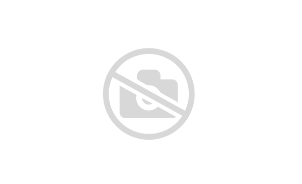 Таль HSH-V-2.0 ручной  2 т  9 м для ручной тали